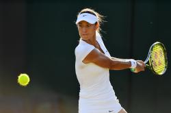 爱游戏平台下载莎拉波娃迎来五赛季高光表现，德国队球迷沸腾！的简单介绍